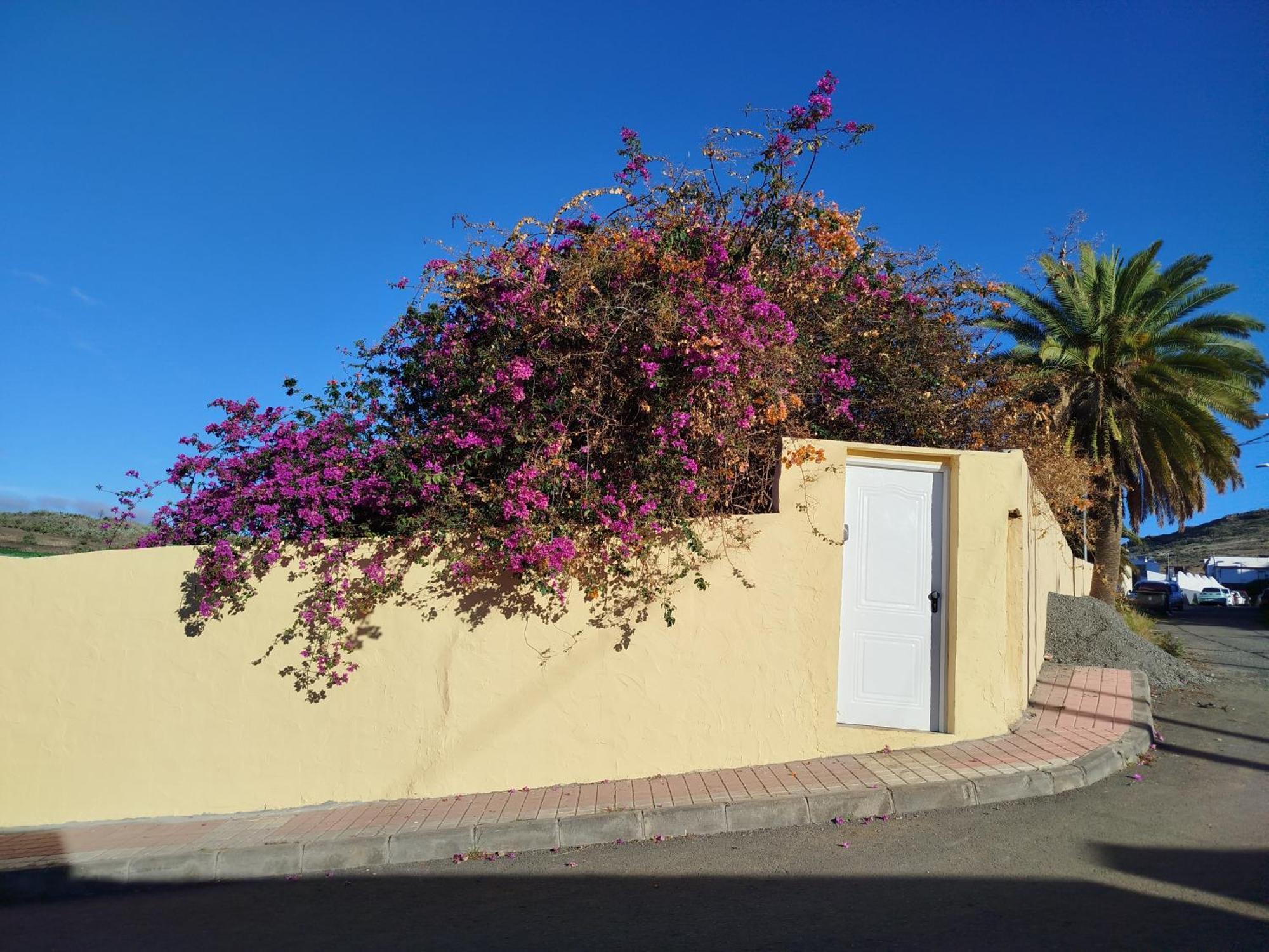 La Casita Landhaus Las Palmas / Gran Canaria